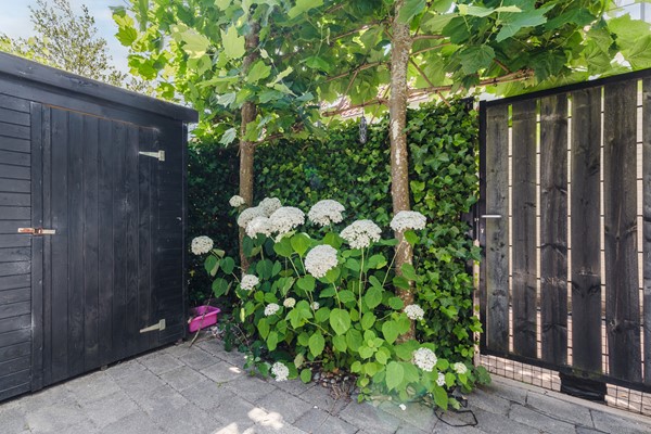 Medium property photo - Molenweg 56, 3604 AV Maarssen